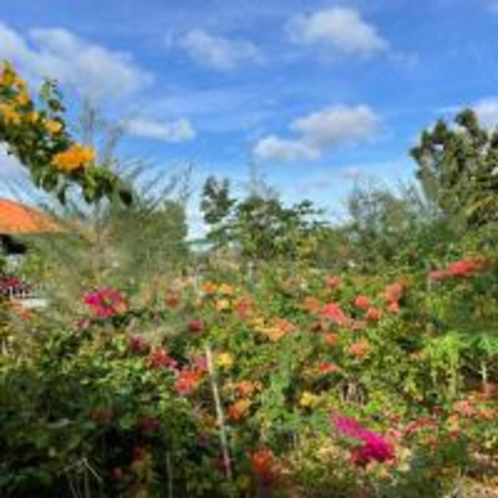 Duc Luu Quang Hotel Binh Thuan Tuy Phong ภายนอก รูปภาพ